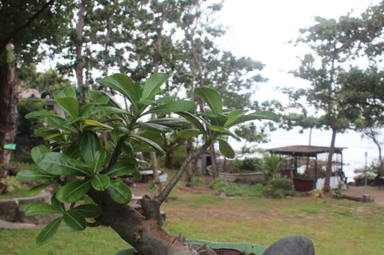 Homestay Reddoorz Hardin De Corales La Union San Fernando City (La Union)